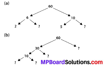 MP Board Class 6th Maths Solutions Chapter 3 Playing With Numbers Ex 3.5 1
