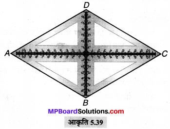 MP Board Class 6th Maths Solutions Chapter 5 प्रारंभिक आकारों को समझना Ex 5.6 image 10