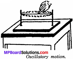 MP Board Class 6th Science Solutions Chapter 10 Motion and Measurement of Distances 2
