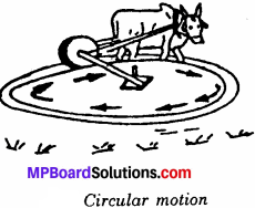 MP Board Class 6th Science Solutions Chapter 10 Motion and Measurement of Distances 4
