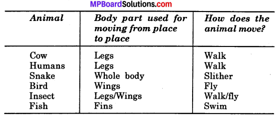 MP Board Class 6th Science Solutions Chapter 8 Body Movement img 2