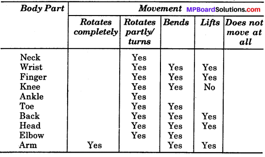 MP Board Class 6th Science Solutions Chapter 8 Body Movement img 3