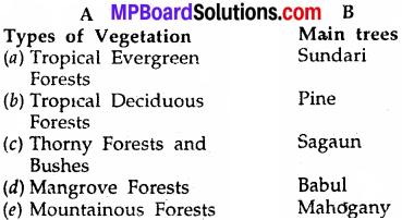 MP Board Class 6th Social Science Solutions Chapter 24 Natural Vegetations and Animals in India 1