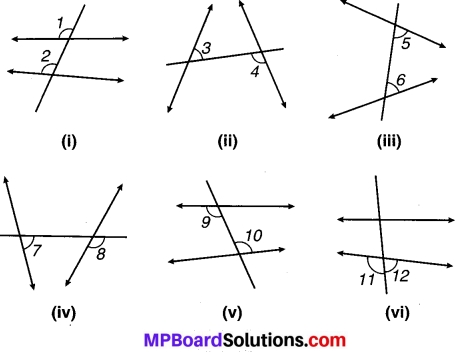 MP Board Class 7th Maths Solutions Chapter 5 रेखा एवं कोण Ex 5.1 14
