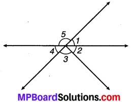 MP Board Class 7th Maths Solutions Chapter 5 रेखा एवं कोण Ex 5.1 5