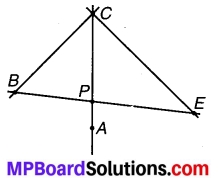 MP Board Class 7th Maths Solutions Chapter 5 रेखा एवं कोण Ex 5.1 9