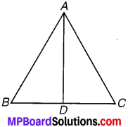 MP Board Class 7th Maths Solutions Chapter 7 त्रिभुजों की सर्वांगसमता Ex 7.1 image 2