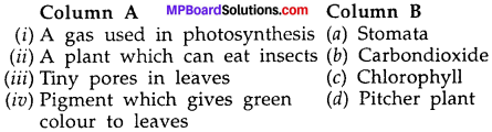 MP Board Class 7th Science Solutions Chapter 1 Nutrition in Plants img-9