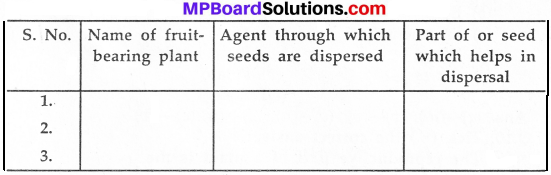 MP Board Class 7th Science Solutions Chapter 12 Reproduction in Plants img 12