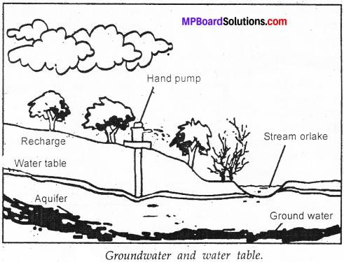 MP Board Class 7th Science Solutions Chapter 16 Water A Precious Resource image 2