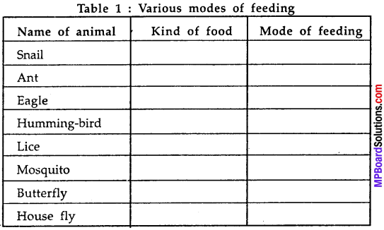 MP Board Class 7th Science Solutions Chapter 2 Nutrition in Animals img-1