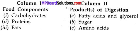 MP Board Class 7th Science Solutions Chapter 2 Nutrition in Animals img-5