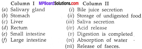 MP Board Class 7th Science Solutions Chapter 2 Nutrition in Animals img-6