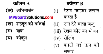MP Board Class 7th Science Solutions Chapter 3 रेशों से वस्त्र तकग 2