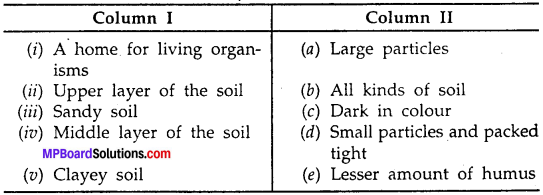 MP Board Class 7th Science Solutions Chapter 9 Soil img-5