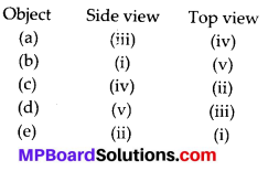 MP Board Class 8th Maths Solutions Chapter 10 Visualizing Solid Shapes Ex 10.1 2