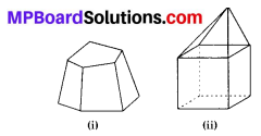 MP Board Class 8th Maths Solutions Chapter 10 Visualizing Solid Shapes Ex 10.3 2