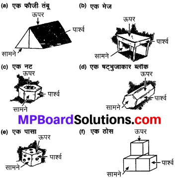 MP Board Class 8th Maths Solutions Chapter 10 ठोस आकारों का चित्रण Ex 10.1 img-4