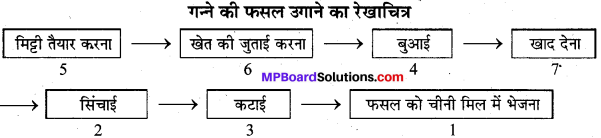 MP Board Class 8th Science Solutions Chapter 1 फसल उत्पादन एवं प्रबंध 4