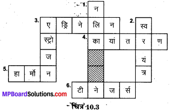 MP Board Class 8th Science Solutions Chapter 10 किशोरावस्था की ओर 5