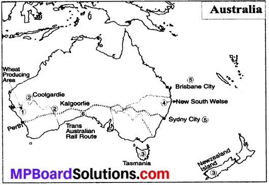 MP Board Class 8th Social Science Solutions Chapter 24 Economic Development of Australia Continent