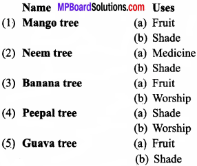 MP Board Class 8th geranal English Chapter 4 Trees Our Saviours