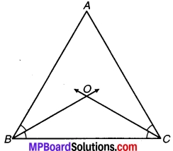MP Board Class 9th Maths Solutions Chapter 6 रेखाएँ और कोण Ex 6.3 11