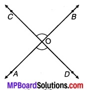 MP Board Class 9th Maths Solutions Chapter 6 रेखाएँ और कोण Ex 6.3 12