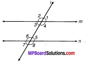 MP Board Class 9th Maths Solutions Chapter 6 रेखाएँ और कोण Ex 6.3 16