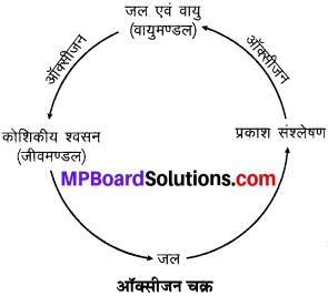 MP Board Class 9th Science Solutions Chapter 14 प्राकृतिक सम्पदा image 3