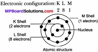 MP Board Class 9th Science Solutions Chapter 4 Structure of the Atom 24