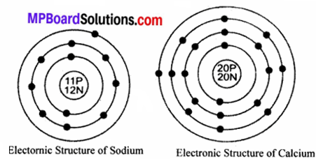 MP Board Class 9th Science Solutions Chapter 4 Structure of the Atom 28