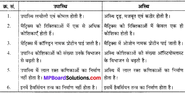MP Board Class 9th Science Solutions Chapter 6 ऊतक image 38