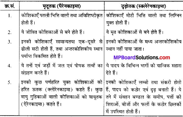 MP Board Class 9th Science Solutions Chapter 6 ऊतक image 39