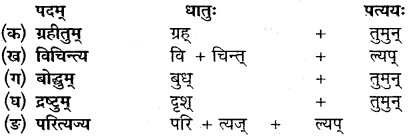 Sanskrit Class 10 Chapter 11 Mp Board