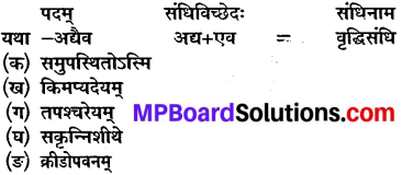 Chapter 11 Sanskrit Class 10 MP Board