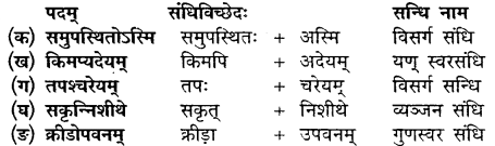 Class 10th Sanskrit Chapter 11 MP Board