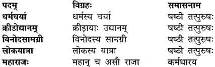 Class 10 Sanskrit Chapter 11 Solutions MP Board