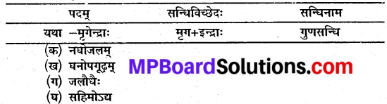 Sanskrit Class 10 Chapter 12 Mp Board