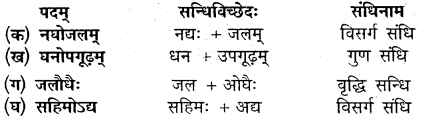 Sanskrit Chapter 12 Class 10