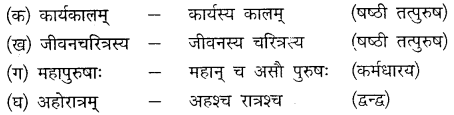 MP Board Class 10th Sanskrit Solutions Chapter 14 समयस्य सदुपयोगः img 7