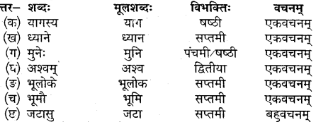 Class 10 Sanskrit Chapter 15 MP Board