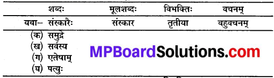 कक्षा 10 संस्कृत पाठ 16 MP Board