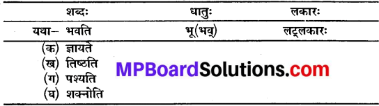 Class 10 Sanskrit Chapter 16 MP Board