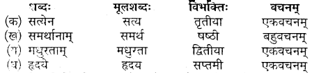 MP Board Class 10th Sanskrit Solutions Chapter 17 चाणक्यनीतिः img 9