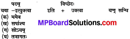 Class 10 Sanskrit Chapter 2 MP Board Solutions न्यग्रोधवृक्षः