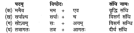 Sanskrit Class 10 Chapter 2 MP Board Solutions न्यग्रोधवृक्षः