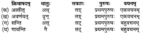 Mp Board Class 10 Sanskrit Chapter 20