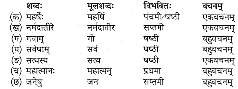 Chapter 3 Sanskrit Class 10 Mp Board