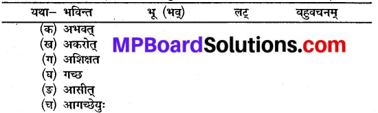 Sanskrit Class 10 Chapter 3 Mp Board